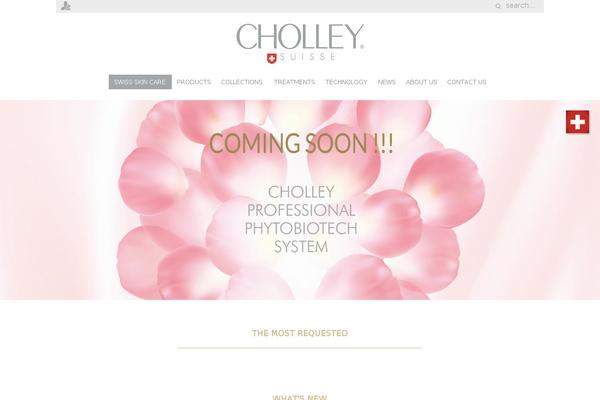 Yoo_master2_wp theme site design template sample