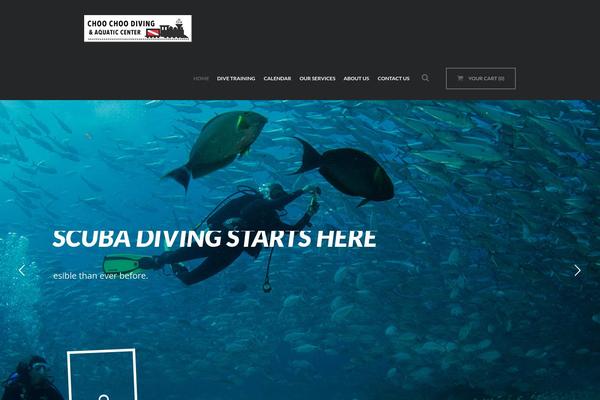 Diveit theme site design template sample