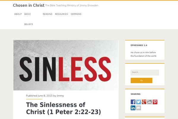 Ignite theme site design template sample
