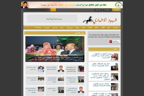 Newsmagazine theme site design template sample
