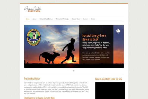 Cleanex theme site design template sample