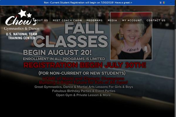 Pro theme site design template sample