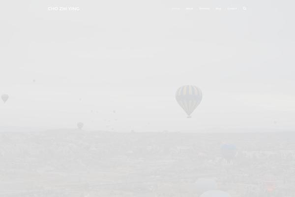 chozhiying.com site used Zy