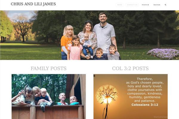 Site using X-email-mailchimp plugin