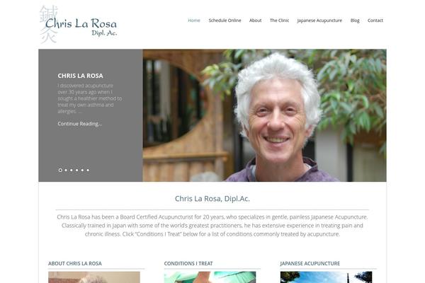 Executive Pro Theme theme site design template sample