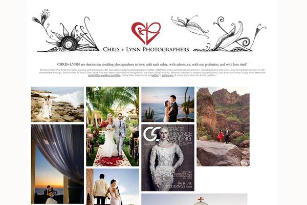 Vega theme site design template sample