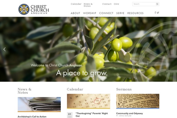 Cca theme site design template sample