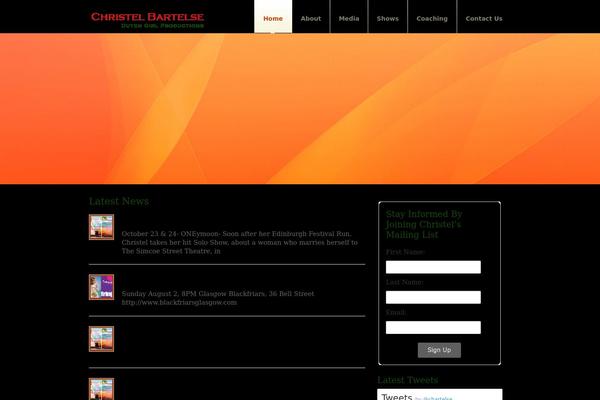 Appointment theme site design template sample