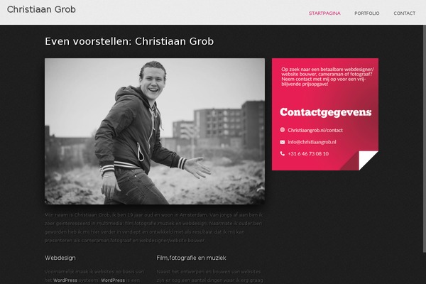Reversal theme site design template sample