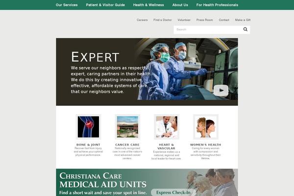 cchs theme websites examples