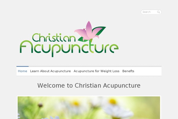 Clean Retina theme site design template sample