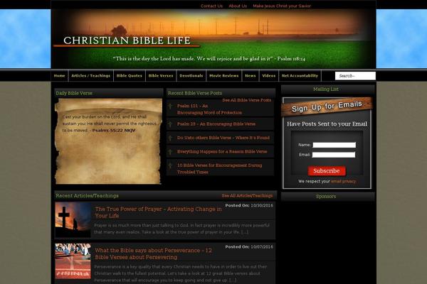 Site using Simple Social Expandable plugin