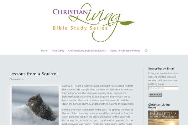 Site using Bloom plugin