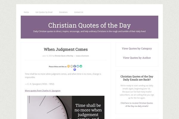 Lifestyle Pro theme site design template sample