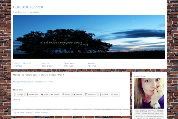 EzyReader theme site design template sample