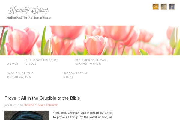 Beautiful Pro Theme theme site design template sample