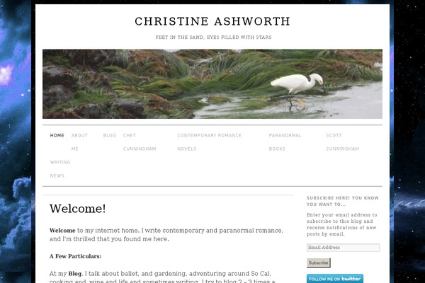 Brunelleschi theme site design template sample