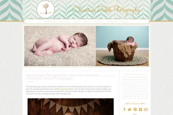 Prophoto4 theme site design template sample