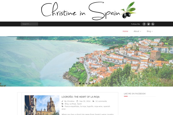 Allison theme websites examples