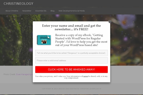 Agency Pro theme site design template sample
