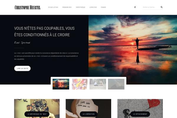 Site using Meks Smart Social Widget plugin