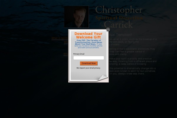 ccblog theme websites examples