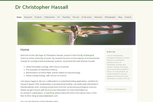 Misty Lake theme site design template sample