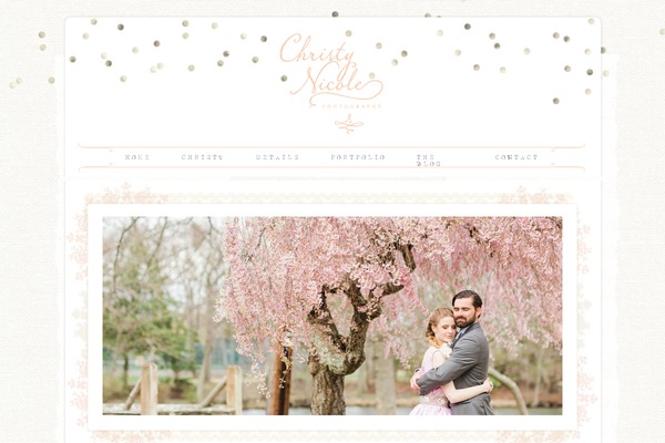 Prophoto4 theme site design template sample