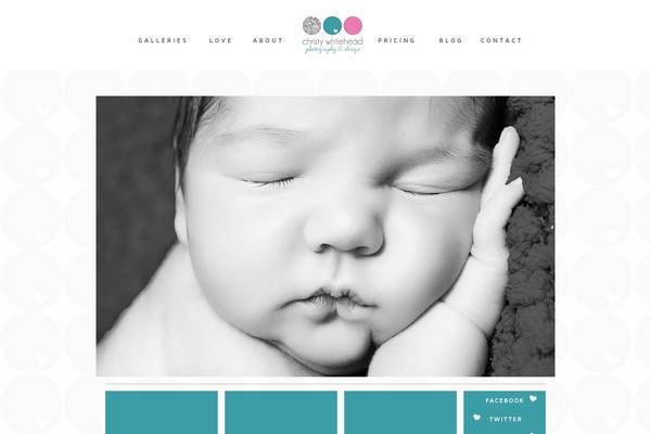 ProPhoto 5 theme site design template sample