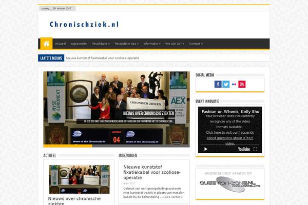 new2013 theme websites examples