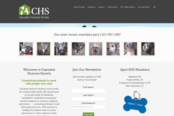 Rescue theme site design template sample
