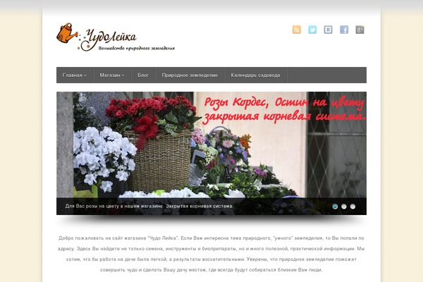 chudo-leyka.ru site used Wp-product