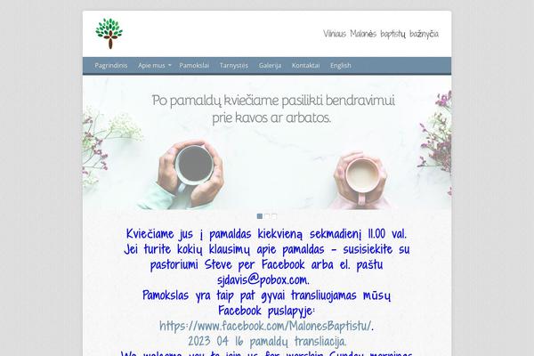 Risen theme site design template sample