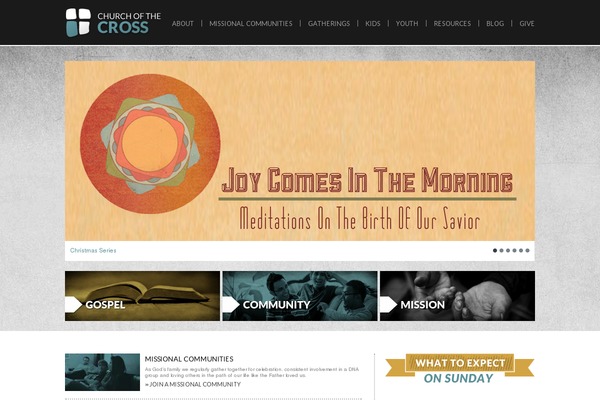 Starter theme site design template sample