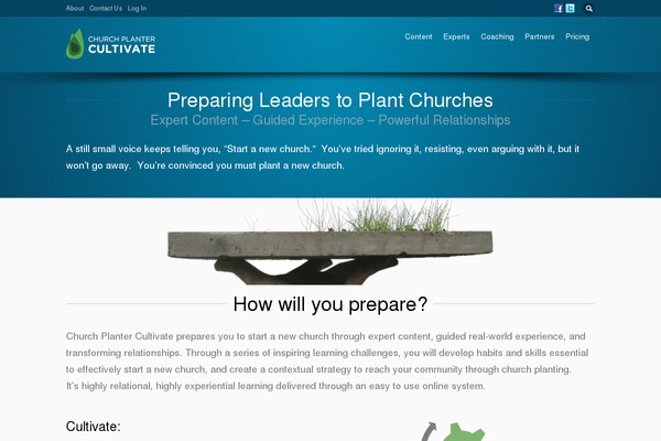 Site using Learnpress-fill-in-blank plugin