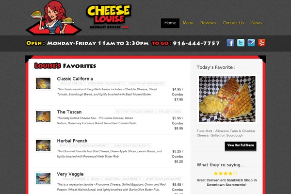 Delicious theme site design template sample
