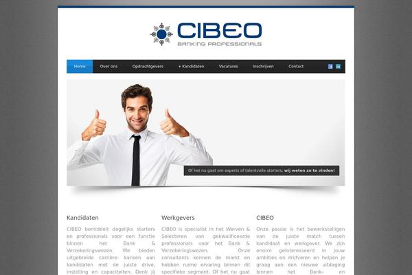 Bluediamond-v1-10 theme site design template sample