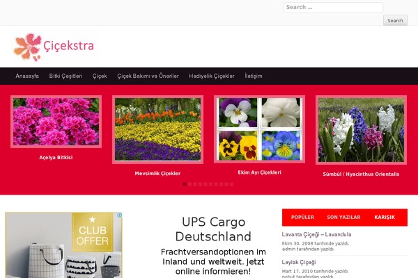 Yegor theme site design template sample