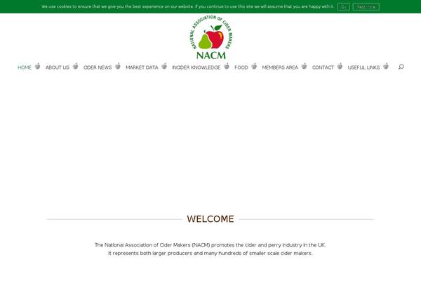 Divi_child theme site design template sample