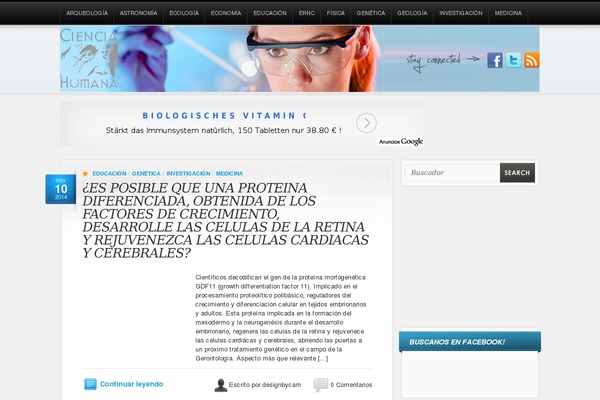 1 theme site design template sample