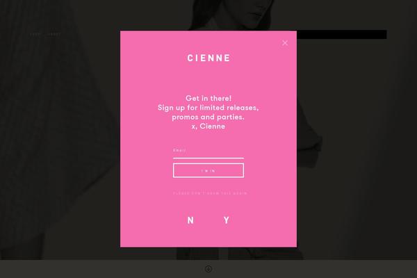 Site using Mailchimp-for-wp-pro plugin