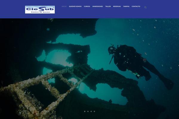 Diveit theme site design template sample