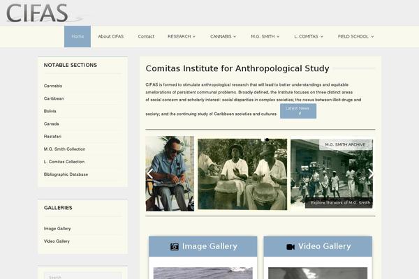 Site using Thinkup-panels plugin