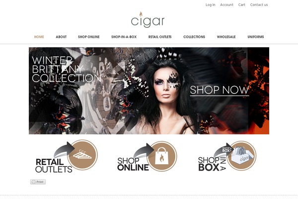 Bearstore theme site design template sample