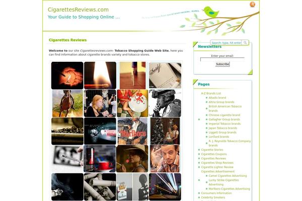 paramitopia theme site design template sample