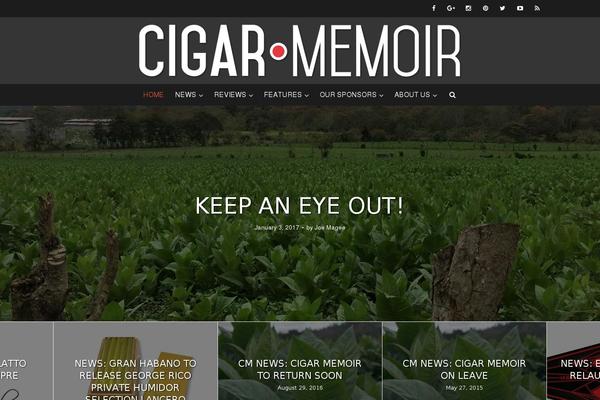 Site using Meks Smart Author Widget plugin