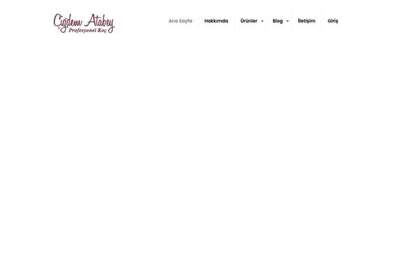Site using Arty Popup plugin