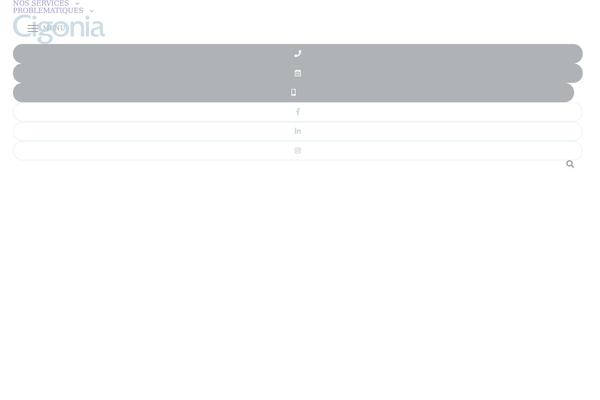 Site using Pm-custom-search plugin
