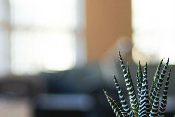 simpler theme site design template sample