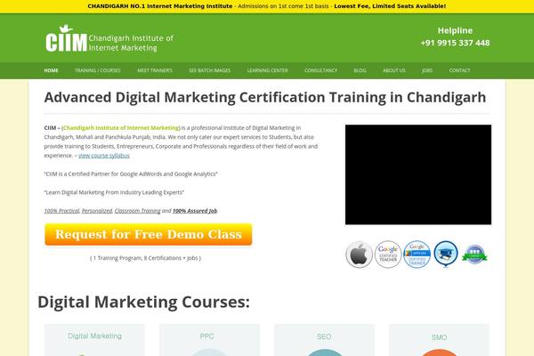 Seofy theme site design template sample